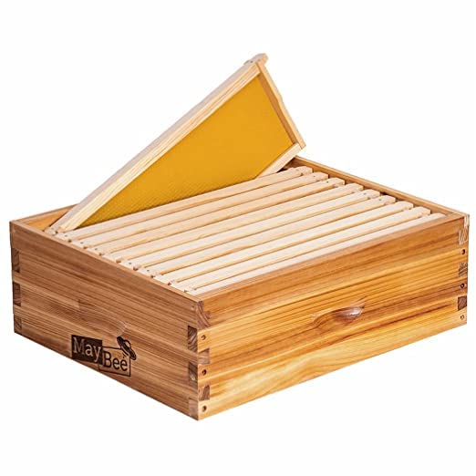 8-Frame Beehive Box Langstroth Medium Super Bee Box for Sale Wax Coated Bee Hives Includes Wooden Frames & Waxed Foundations MayBee