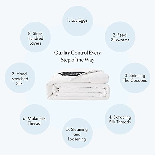 Mommesilk Silk Comforter Full Summer Lightweight Pure Natural Silk Duvet Insert Cotton Cover Quilt White 76"x87", Net Net Filling Weight 0.5kg Mommesilk