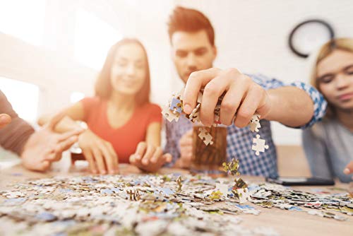 Trefl 2000 Piece Jigsaw Puzzles, New Land Puzzle, Earth Puzzle, Historical Puzzle, Old World Puzzle, Adult Puzzles, 27095 Trefl