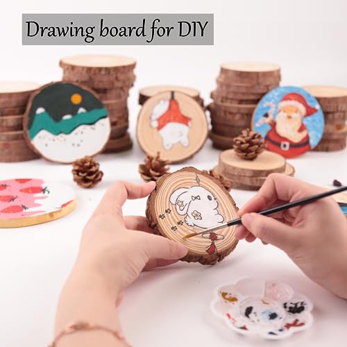 Unfinished Natural Wooden Slices 3.5-4 Inch Wood Circles for Crafts DIY Christmas Ornament Craft Wood Kit with Picture Hanging Strips,Blank Round Wood Slice with Bark for Art (Wood Slices 60 PCS) KXEXK