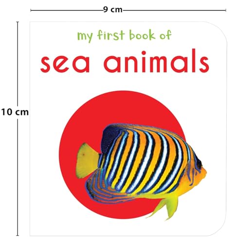 My First Library: Boxset of 10 Board Books for Kids WoodArtSupply