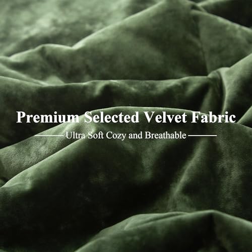 Ivellow Crushed Velvet Comforter Set Queen Green Comforter Set 5pcs Ultra Soft Lightweight Breathable Bedding Set Luxury Cozy Flannel Comforter Queen Size (1 Comforter,2 Pillow Shams, 2 Euro Shams Ivellow