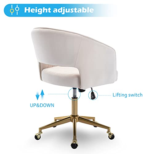 Home Office Chair Swivel Velvet Desk Chair Accent Armchair Upholstered Modern Tufted Chairs with Gold Base for Girls Women Ergonomic Study Seat Computer Task Stools for Living Room(Cream) KCC