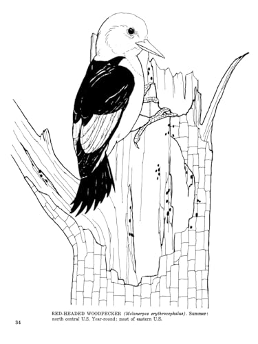 Fifty Favorite Birds Coloring Book (Dover Animal Coloring Books) Dover Publications