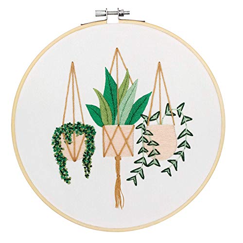 Kissbuty Embroidery Starter Kit with 3 Pcs Fabric & Patterns, Bamboo Hoop, Color Threads Tools (Plants Flowers)