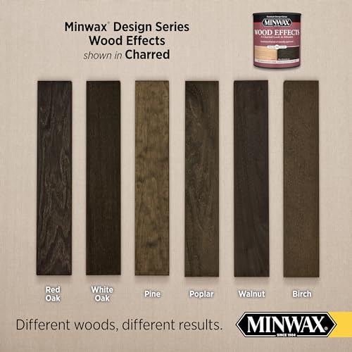 Minwax 405140000 Wood Effects, Charred Black Minwax