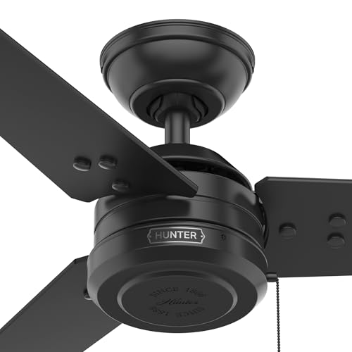 HUNTER 50260 Cassius Outdoor Ceiling Fan with Pull Chain, 44", Matte Black Finish Hunter
