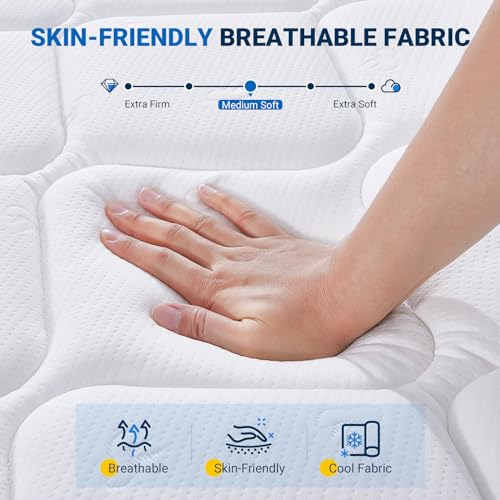 Avenco Full Size Mattress, 12 Inch Full Mattresses in a Box, Hybrid Mattresses with Comfort Foam and Pocket Coils for Pressure Relief, Motion Isolation Avenco