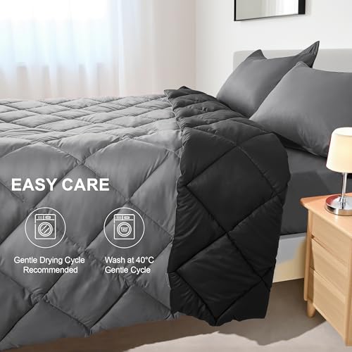 WQSPRING King Size Comforter Set, Reversible 3 Pieces Lightweight Soft Bedding Set for All Season, Premium Bed in a Bag Includes 1 Comforter (106"x90") and 2 Pillowcase (20"x36") WQSPRING