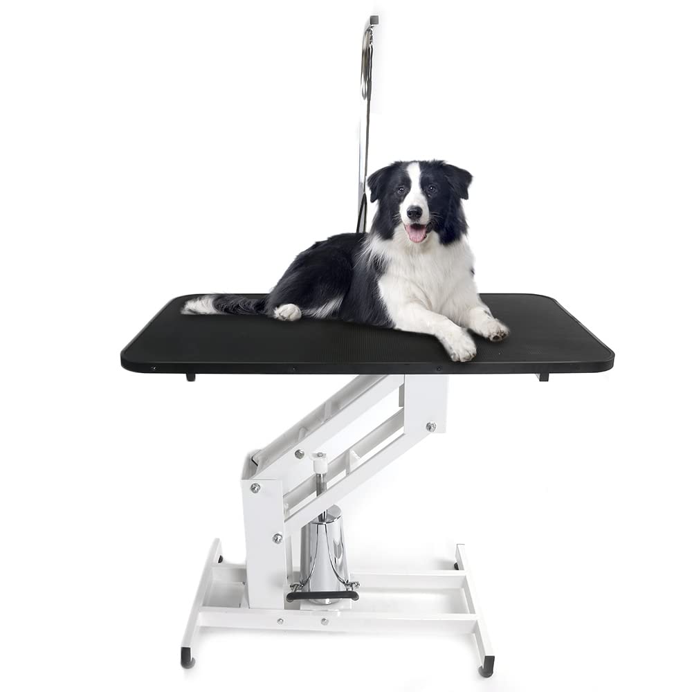 Bonnlo Hydraulic Dog Grooming Table, Professional Heavy Duty Grooming Table for Dogs, Trimming Table Drying Table w/Arm/Noose Bonnlo