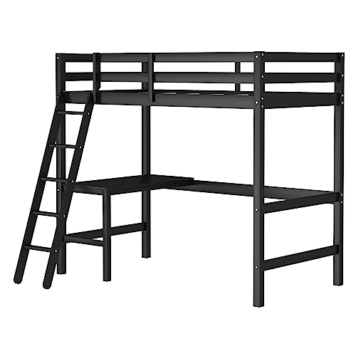 Hillsdale Caspian Black Solid Wood Twin Loft Bed with Built-In Desk for Kids Hillsdale
