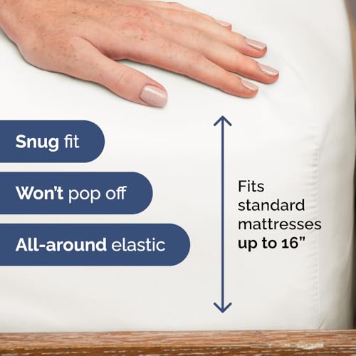 Queen Fitted Bed Sheet - Bottom Single Fitted Sheet Only - Ultra-Soft Hotel Luxury Bedding w/ 8-16 Inch Deep Pockets - Breathable & Wrinkle Free - Easy-Care, Fade & Shrink Resistant - Antique White CGK Unlimited