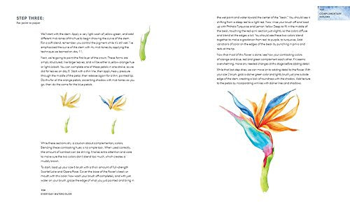 Everyday Watercolor: Learn to Paint Watercolor in 30 Days Watson-Guptill