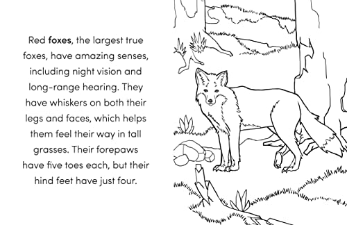 Wild Animal Book for Kids: Coloring Fun and Awesome Facts (A Did You Know? Coloring Book) WoodArtSupply