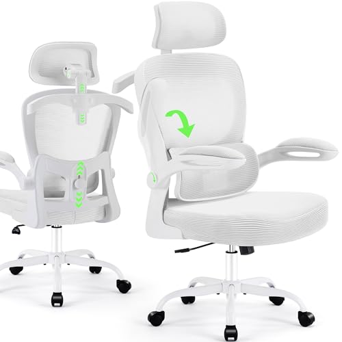 AreShark Office Chair Ergonomic Desk Chairs with Adjustable Lumbar Support& Headrest Hanger, High Back Breathable Mesh Chair with Wheels, Rolling Swivel Comfy Task Computer Chair for Home Work Gaming AreShark
