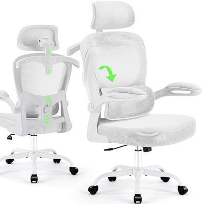 AreShark Office Chair Ergonomic Desk Chairs with Adjustable Lumbar Support& Headrest Hanger, High Back Breathable Mesh Chair with Wheels, Rolling Swivel Comfy Task Computer Chair for Home Work Gaming