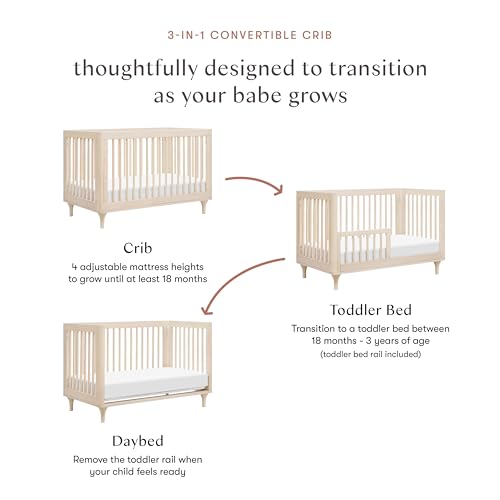 Babyletto Lolly 3-in-1 Convertible Crib with Toddler Bed Conversion Kit in Washed Natural, Greenguard Gold Certified babyletto