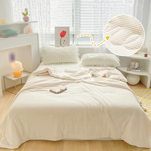 RDIAYDN Summer Quilt, Soft and Comfortable Polyester Microfiber Bed Duvets, Duvets Filling Fibers, For Summer Single Double Bed (C,180x220cm) RDIAYDN