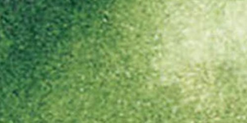 Daniel Smith Extra Fine Watercolor 15ml Paint Tube, Sap Green (284600102), 0.5 Fl Oz (Pack of 1) DANIEL SMITH