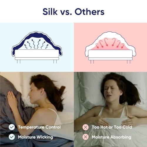 Vesta All-Season Silk Comforter, Quilt and Duvet Insert for Hot Sleepers, 100% Silk Fill with 100% Cotton Shell, Luxuriously Soft, Moisture-Wicking (All-Season, Grey, Twin/Twin XL) Vesta