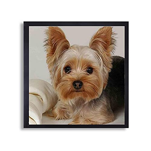 Puraikcmi 5D DIY Diamond Art Painting Yorkie Yorkshire Terrier Dog 16X16 inches Full Round Drill Rhinestone Embroidery for Wall Decoration Puraikcmi