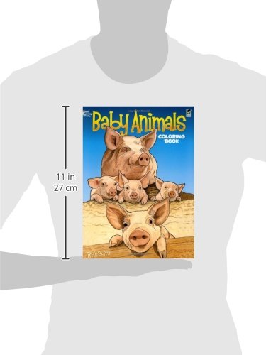 Baby Animals Coloring Book (Dover Coloring Books) Dover Publications