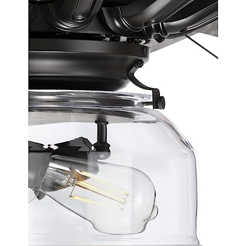 Progress Lighting P250000-129 Springer Collection DC Motor Windmill Farmhouse, 60-Inch, 12-Blade Ceiling Fan, Architectural Bronze Progress Lighting