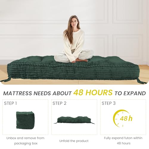 8 Inches Futon Mattress Queen Size, Futon Sofa Couch Bed with Straps, Thick Corded Fabric Floor Futon Mattress for Adults, Sleeping Mat Foldable Mattress for Camping, Green(Frame Not Included) Bliss Homey