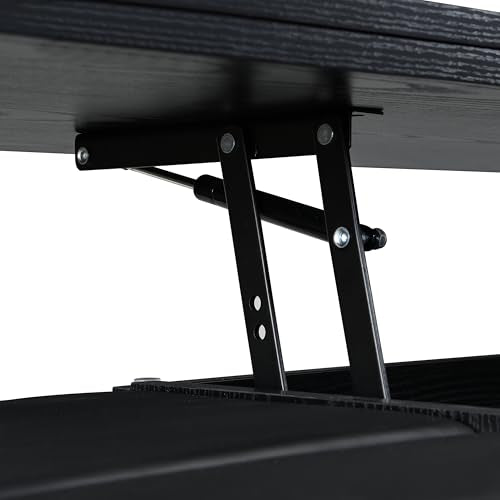 Christopher Knight Home Lucid Wooden Lift Top Coffee Table with Hidden Storage and 4 Stools, Center Table for Living Room with Compartment/Drawer, Multifunctional Table with Casters, Black Christopher Knight Home