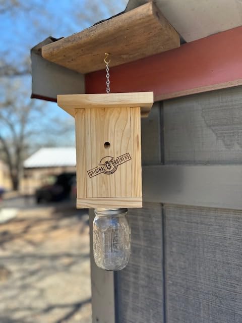Original B Brothers-Carpenter Bee Trap Original B Brothers