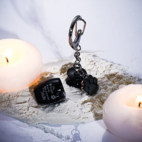 Tudomro 2 Pcs Pet Dog Urns Keychain for Ashes with 2 Storage Bags Small Cat Cremation Keepsake Jewelry Paw Print Memorial Urn(Fresh Style)