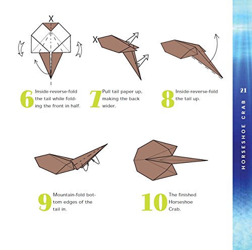 Origami Aquarium Kit: Aquatic fun for everyone!: Kit with Two 32-page Origami Books, 20 Projects & 98 Origami Papers: Great for Kids & Adults! Tuttle Publishing