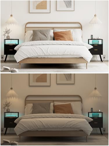 Leomonio Nightstand with Charging Station and LED Lights, Modern Bedside Table with 2 Storage Drawer and Open Wood Shelf for Bedroom and Small Spaces, Night Stand with Solid Wood Legs Leomonio