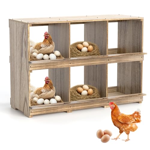 Nesting Boxes for Chickens Coop, Wooden Hens Nesting Eggs Laying Box, Chicken Nesting Boxes Wall-Mounted 6 Compartment WISDOMRAINBOW