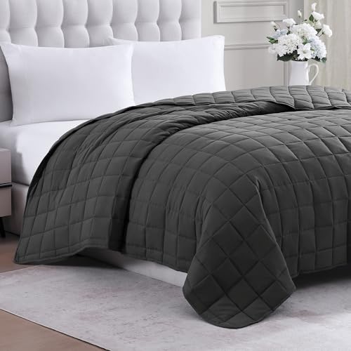 Casa Platino Twin Duvet Insert - Soft Blankets Lightweight Twin Size Bedding, Cooling Pre-Washed - Down Alternative Blanket - Charcoal Casa Platino