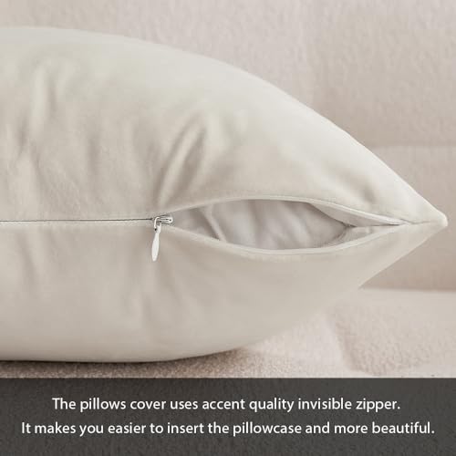 MIULEE Velvet Pillow Cover Soft Luxury Decorative Throw Pillow Cover Eruo Sham Single Rectangle Cushion Case for Couch Sofa Bedroom Car Decor,24x24 Inch Cream White MIULEE