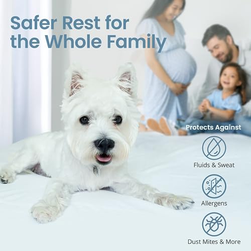 SafeRest Waterproof Queen Size Mattress Protector - Fitted with Stretchable Pockets - Machine Washable Cotton Blend Mattress Cover for Bed SafeRest