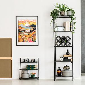 EFOTIML Paint by Numbers Kit for Adults Beginners & Kids Ages 8-12,1 Pack 16x20 inches Canva for Painting Kits for Adults in Colorful Box(Without Frame)- Sunrise Mountains and Rivers EFOTIML