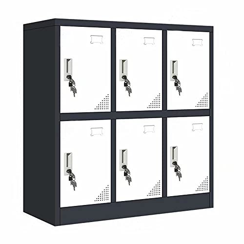 MAYROY Metal Locker Office Storage Locker Home Steel Locker School Storage Organizer, Storage Cabinet for Kids Students Employee (Gray, W6D) MAYROY