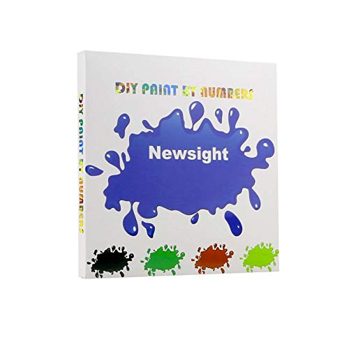 Newsight Paint by Numbers for Adults & Kids & Beginners DIY Acrylic Painting Gift Kits Drawing Paintwork with Paintbrushes 16 * 20inch Venice Street Newsight
