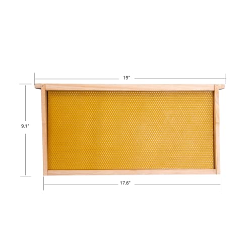 Honey Lake Deep Beehive Frames and Foundations Kit, 10 Pack Brood Wooden Frames and Natural Beeswax Dipped Plastic Foundation for Beekeeping Honey Lake