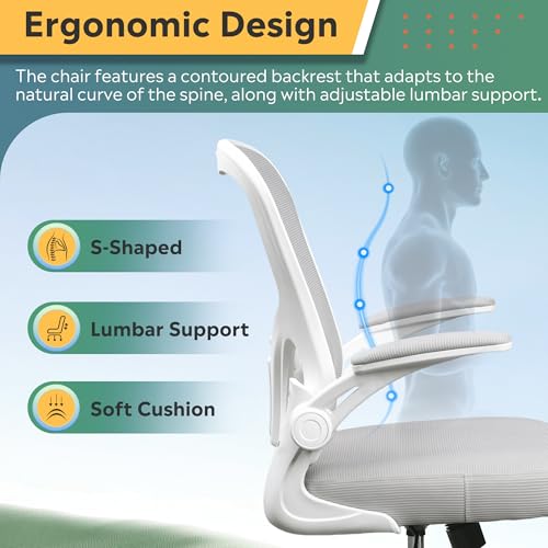 DEVAISE Office Chair Ergonomic Computer Desk Chair with Flip-up Armrests, Comfy Mesh with Adjustable Lumbar Support, White DEVAISE