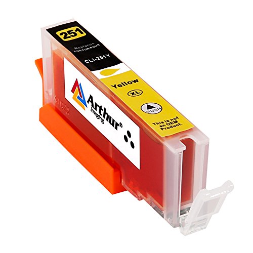 Arthur Imaging Compatible Ink Cartridge Replacement for Canon Pgi-250Xl CLI-251XL for Use with Pixma MX922 MG5520 (6 Large Black, 4 Small Black, 4 Cyan, 4 Yellow, 4 Magenta, 22-Pack) Arthur Imaging