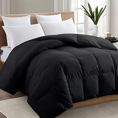 TEXARTIST Premium 2100 Series Queen Comforter All Season Breathable Black Comforter Soft 4D Spiral Fiber Quilted Down Alternative Duvet Insert with Corner Tabs Luxury Hotel Style (88"x88") TEXARTIST
