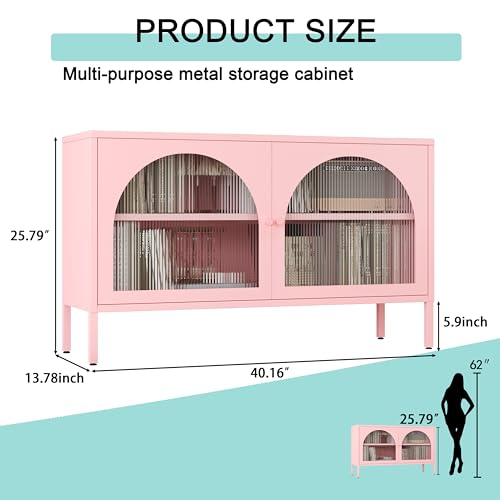 Fumedo Metal Storage Cabinet with Doors and Shelves,2 Door TV Stand,Accent Cabinet,Metal Locker&Sideboard Buffet Cabinet&Bookshelf&Cupboard for Home,Office,Living Room Fumedo