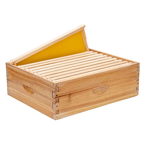 Honey Lake 10 Frame Medium Super Bee Hive Box, Langstroth Beehive Super Honey Bee Box Dipped in 100% Beeswax Include Beehive Frames and Waxed Foundations for Beginners Beekeepers (Unassembled) Honey Lake