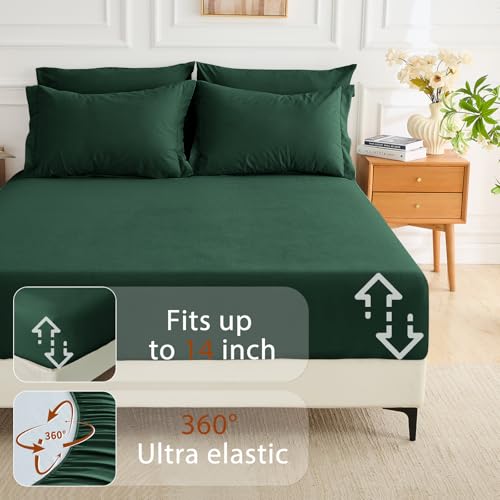 MUXHOMO 7 Pieces Full Comforter Set, Soft Bed in a Bag Full Size, All Season Bedding Set with Comforter, Flat Sheet, Fitted Sheet, Pillowcases & Shams, Dark Emerald Green