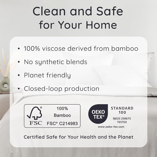 Bambaw Queen Sheet Set – 4pcs 100% Viscose Derived from Bamboo Sheets Set, Cooling Sheets for Night Sweats, Soft Queen Sheets, Hotel Luxury Bed Sheets Set, 16'' Deep Pockets (Moonlight Gray) Bambaw