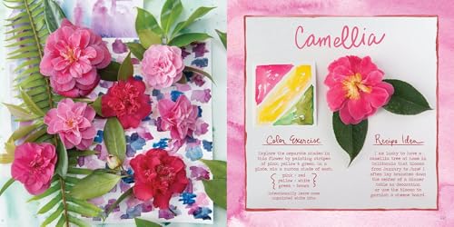 The Watercolor Feast: Learn to Paint Simple Fruits, Vegetables, and Flowers WoodArtSupply