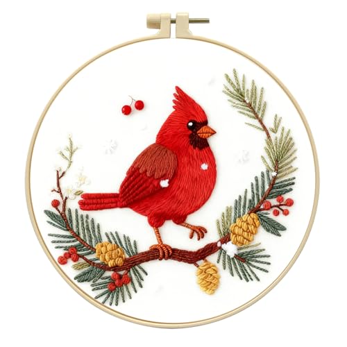 Zhenqing Red Bird in Winter Embroidery Kit for Beginners, Pre-Printed 29x29cm Cotton Fabric with 20cm Hoop, Featuring Pine Cones, Berries and Snow Design (C0213)